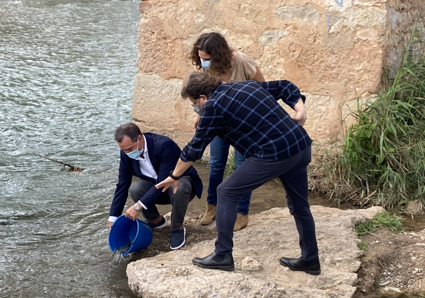 Suelta de angulas en el río Turia durante la edición de 2021